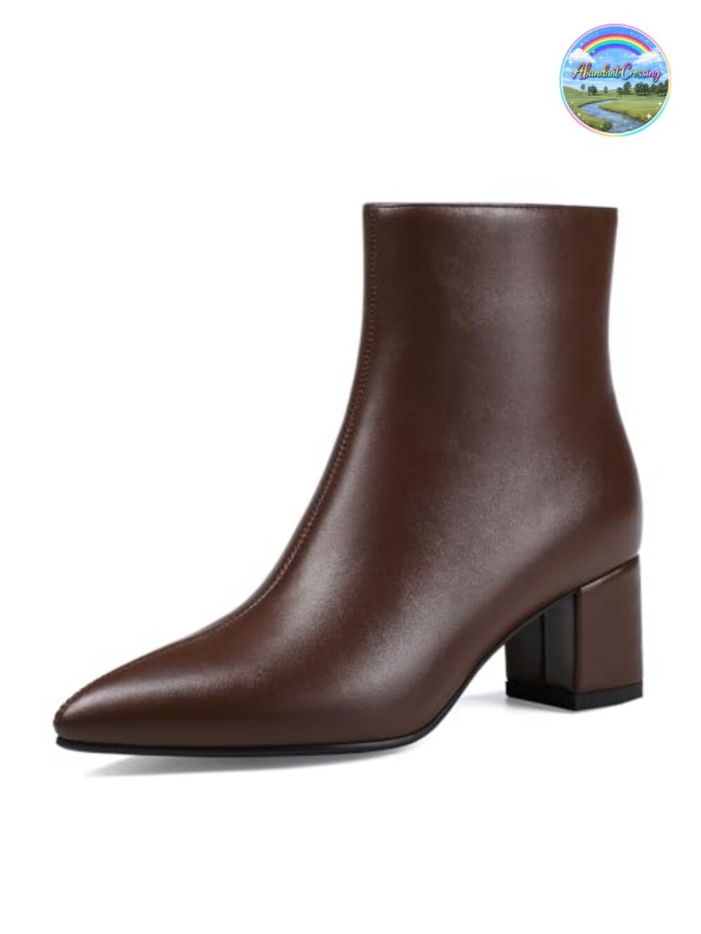 Pointed Toe Ankle Booties Chunky Block Low Heel Women's Boots